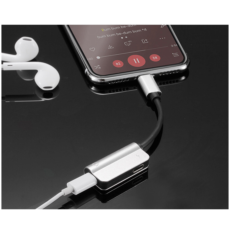 2 in 1 Dual Lightning Audio Charge Adapter Cable ( Silver )